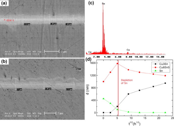 焊料層厚度為1μm時(shí)IMC層的生長(zhǎng)情況。