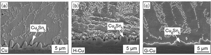 SAC305和Cu基板的界面IMC。